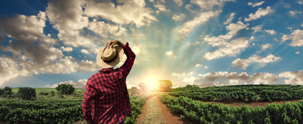 Agricultor trabajando en un cultivo al atardecer